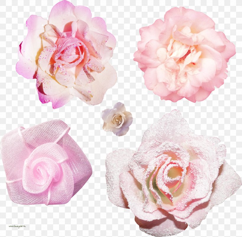 Garden Roses Centifolia Roses Floribunda Clip Art, PNG, 3032x2970px, Garden Roses, Artificial Flower, Centifolia Roses, Cut Flowers, Floribunda Download Free
