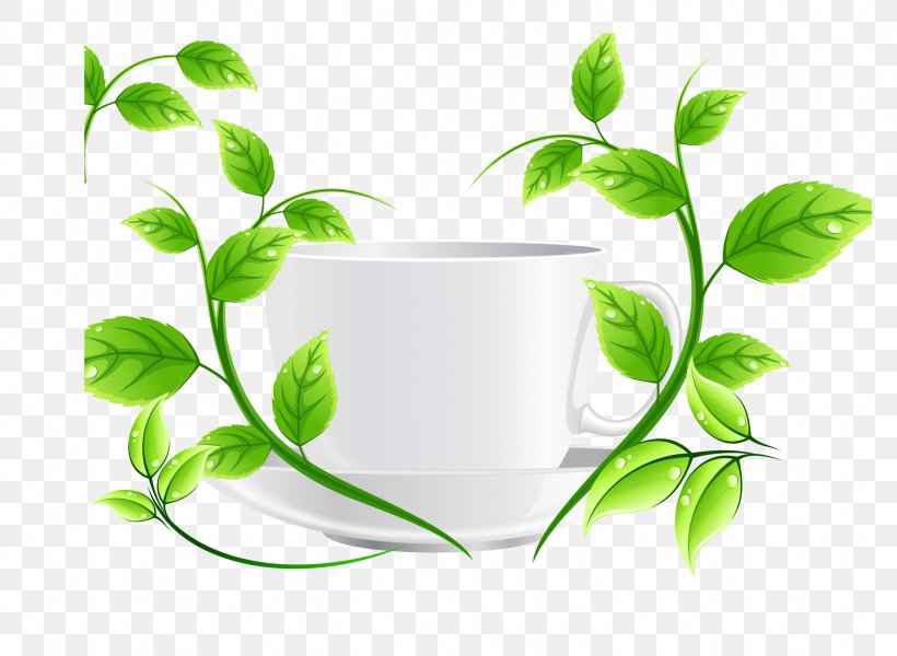 Green Tea Euclidean Vector, PNG, 2288x1675px, Tea, Alternative Medicine, Cup, Flowerpot, Green Download Free