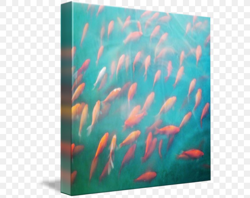Marine Biology Underwater Marine Mammal Coral Reef Fish, PNG, 576x650px, Marine Biology, Aqua, Art, Biology, Coral Download Free