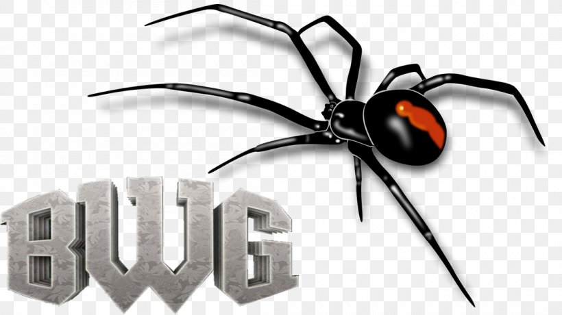 Redback Spider Red-back Arthropod Black House Spider, PNG, 1100x618px, Spider, Arachnid, Arthropod, Australian Funnelweb Spider, Auto Part Download Free
