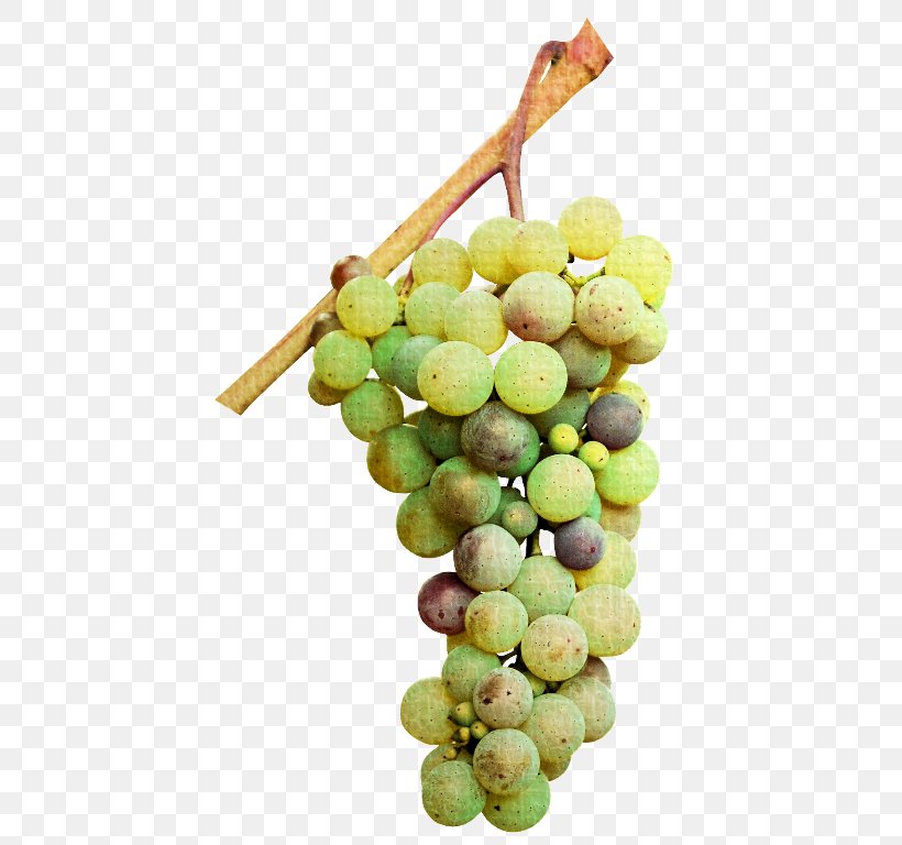 Sultana Verjuice Seedless Fruit Grape Seed Extract, PNG, 464x768px, Sultana, Amazon Grape, Food, Fruit, Grape Download Free