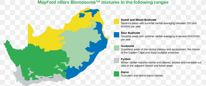 Bushveld South Africa Map Ecoregion, PNG, 1200x506px, Veld, Africa, Area, Biome, Brand Download Free