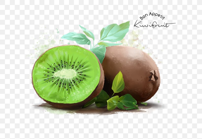 Kiwifruit Stock Photography Watercolor Painting Poster, PNG, 700x563px, Kiwifruit, Art, Diet Food, Food, Fruit Download Free