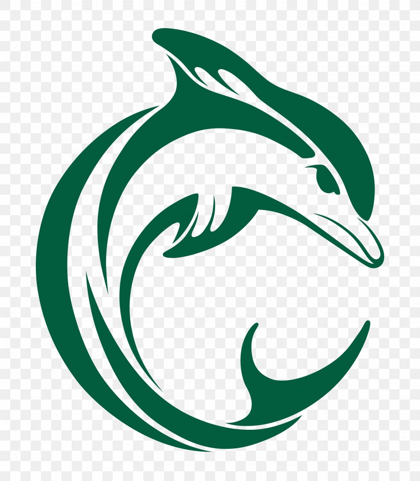 T-shirt Logo Graphic Design, PNG, 3025x3467px, Tshirt, Amazon River Dolphin, Art, Dolphin, Fish Download Free