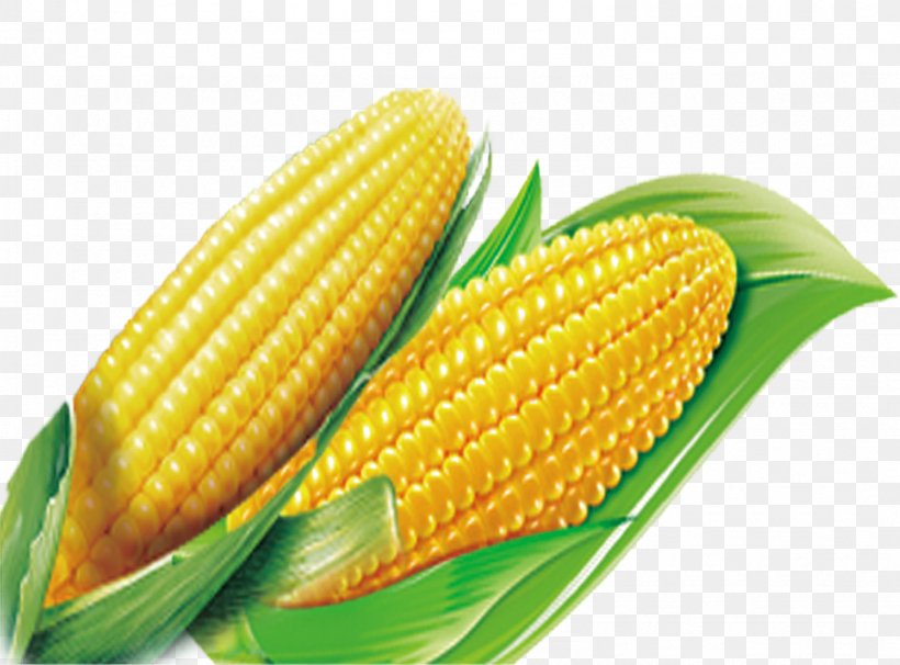Corn On The Cob Download Computer File, PNG, 1586x1174px, Corn On The Cob, Commodity, Corn Kernels, Designer, Food Download Free