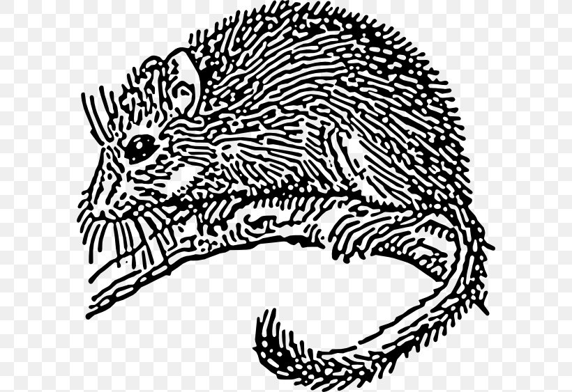 Dormouse Rodent Clip Art, PNG, 600x563px, Dormouse, Animal Figure, Area, Big Cats, Black And White Download Free