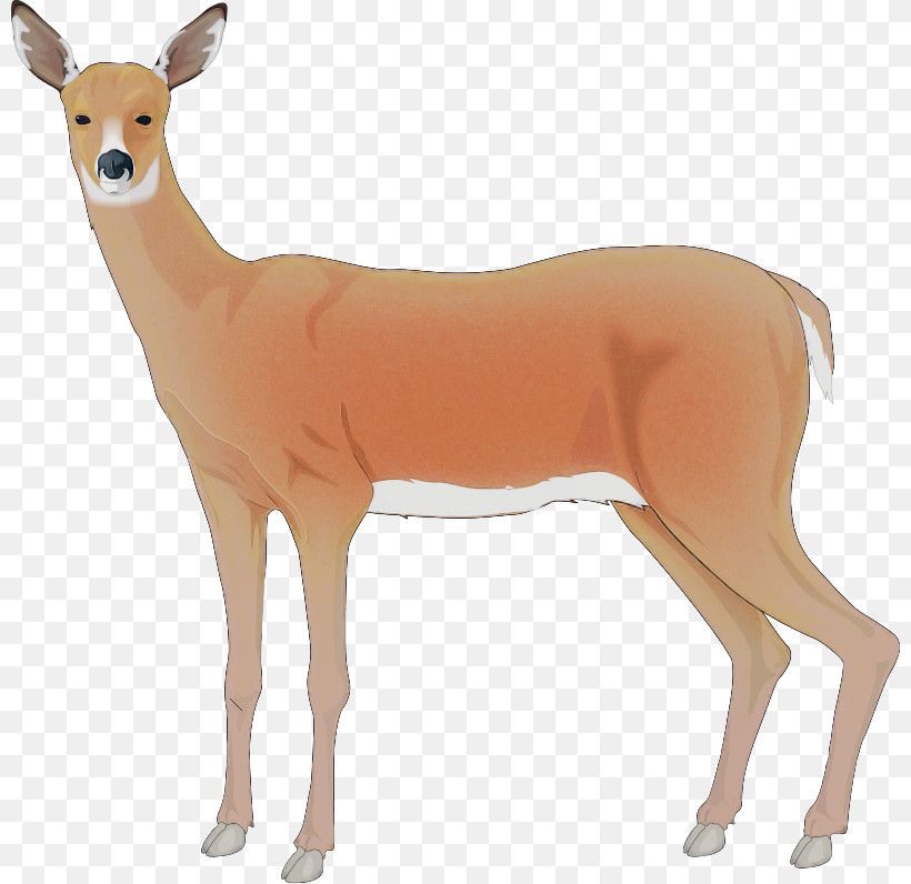 Reindeer, PNG, 800x796px, Deer, Animal Figure, Antelope, Fawn, Figurine Download Free