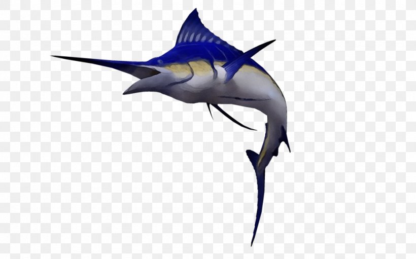 Shark, PNG, 1024x639px, Watercolor, Atlantic Blue Marlin, Cretoxyrhina, Fin, Fish Download Free