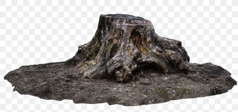 Tree Stump Trunk DeviantArt Driftwood, PNG, 2933x1385px, Tree, Bedrock, Das Productions Inc, Deviantart, Driftwood Download Free