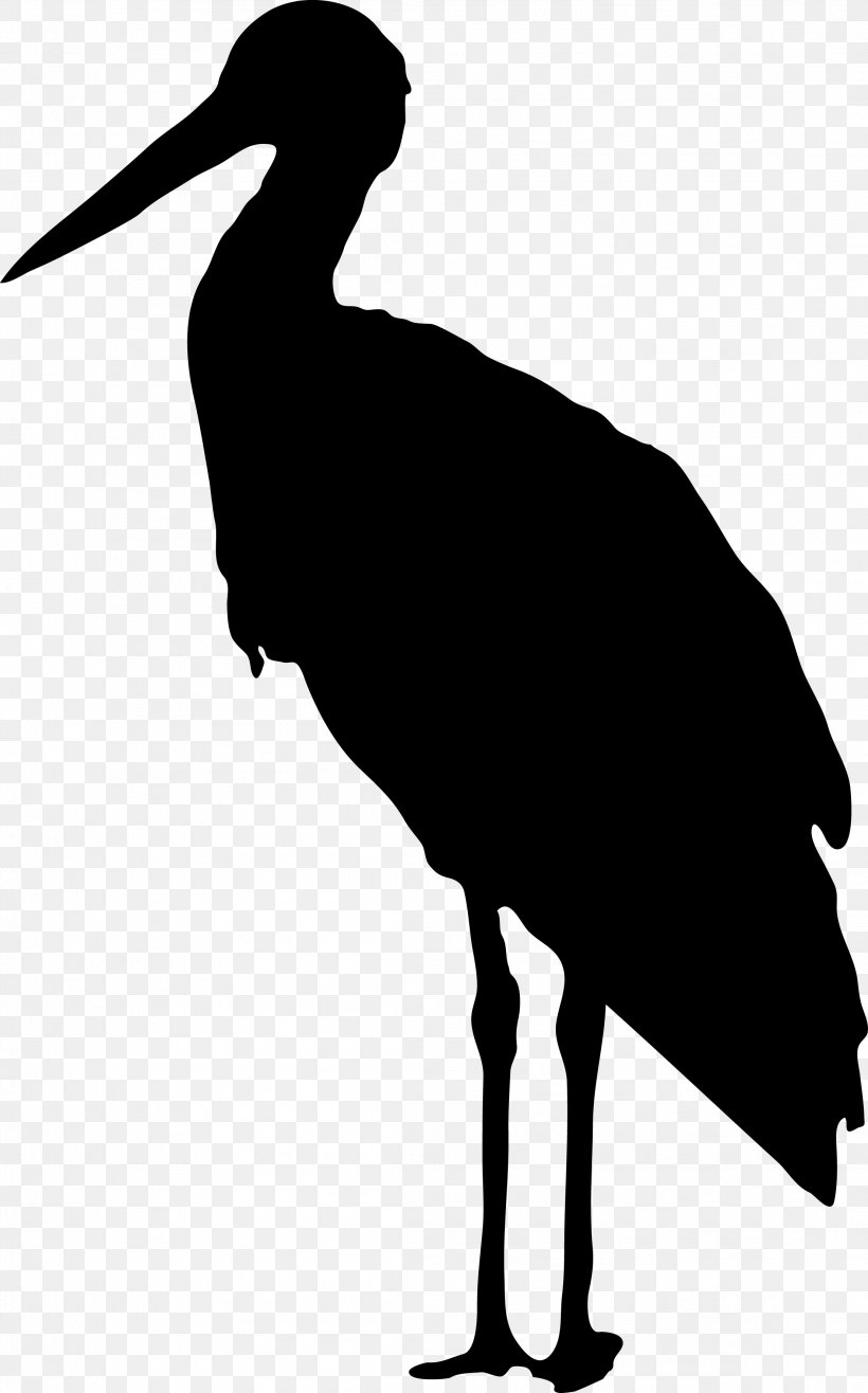 Bird Stork Clip Art, PNG, 2213x3553px, Bird, Beak, Black And White, Ciconiiformes, Crane Download Free