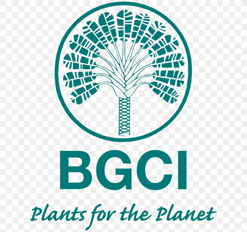 Kew University Of Oxford Botanic Garden Botanic Gardens Conservation International Botanical Garden, PNG, 627x768px, Kew, American Public Gardens Association, Arbnet, Arboretum, Area Download Free