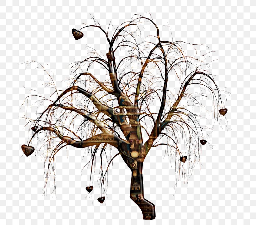 Tree Illustration Image Trunk, PNG, 720x720px, Tree, Abstract Art, Branch, Flora, Grass Download Free