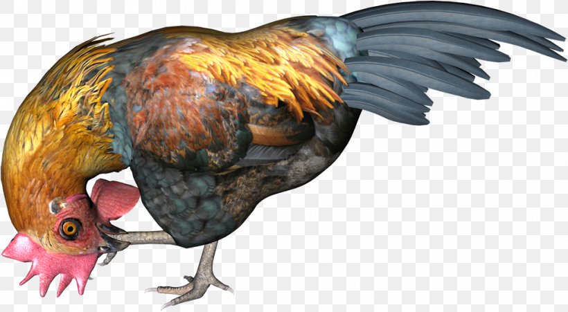 Bird Chicken Centerblog Clip Art, PNG, 1000x551px, Bird, Animal, Beak, Bird Of Prey, Blog Download Free