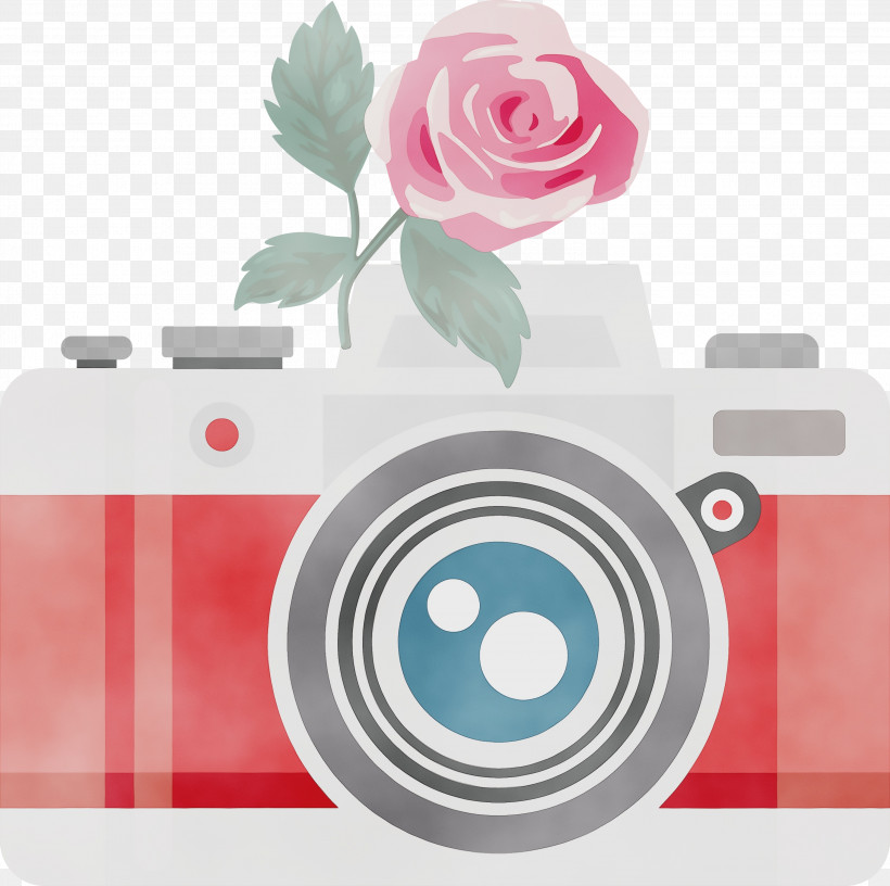Rose, PNG, 3000x2987px, Camera, Flower, Geometry, Mathematics, Optics Download Free