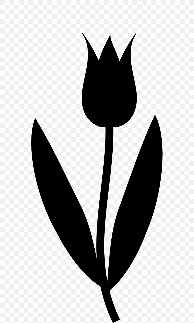 Clip Art Flower Garden Plant Stem Leaf, PNG, 555x1364px, Flower, Art, Blackandwhite, Botany, Flower Garden Download Free