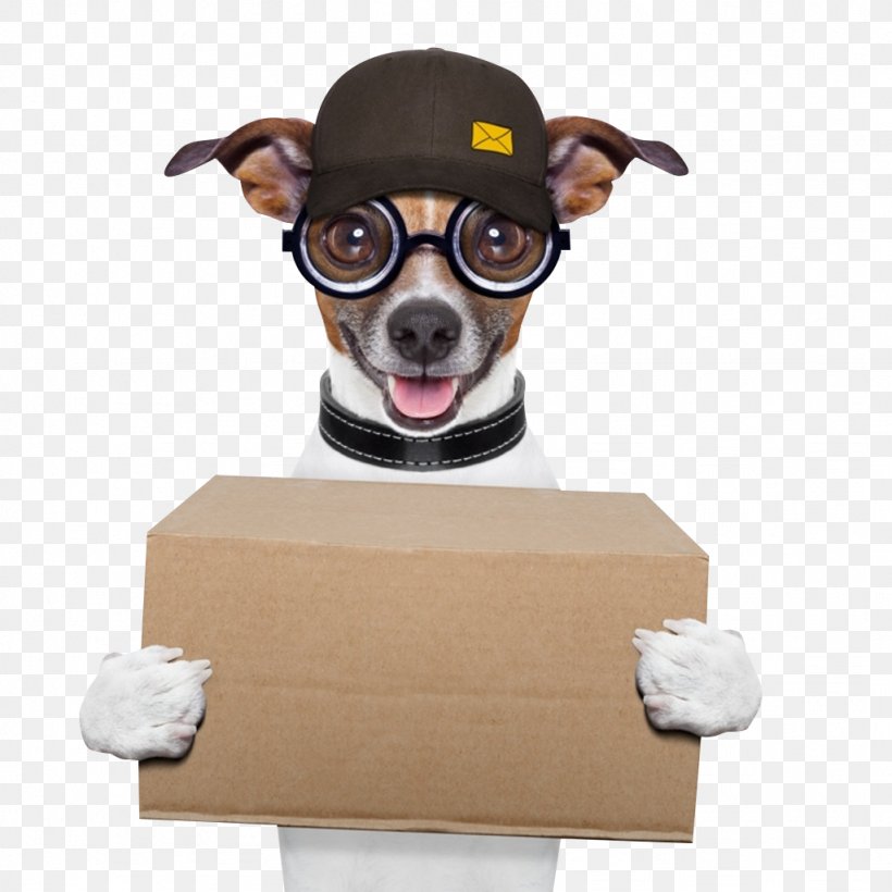 Dog Food Delivery Pet Food Cat Food, PNG, 1024x1024px, Dog, Carnivoran, Cat Food, Chihuahua, Delivery Download Free