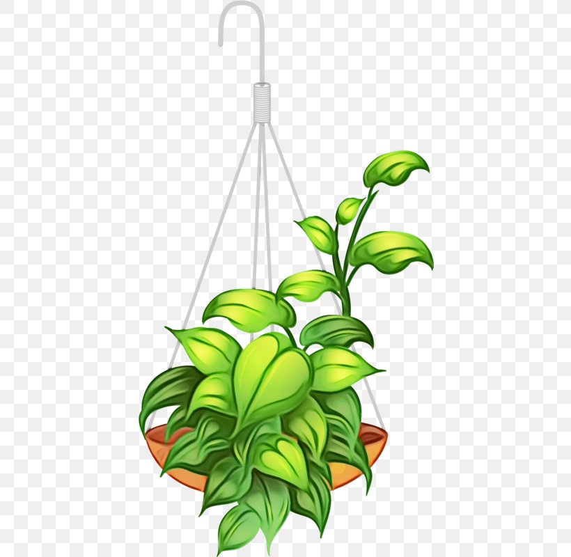 Flower Plant Houseplant Leaf Clip Art, PNG, 427x800px, Watercolor, Flower, Flowering Plant, Flowerpot, Houseplant Download Free