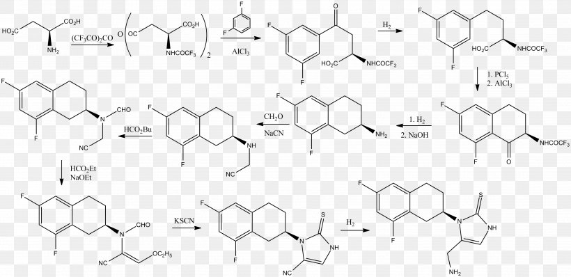 Horseradish Peroxidase Ninhydrin Chemical Compound Amine Amino Acid, PNG, 3729x1810px, Watercolor, Cartoon, Flower, Frame, Heart Download Free