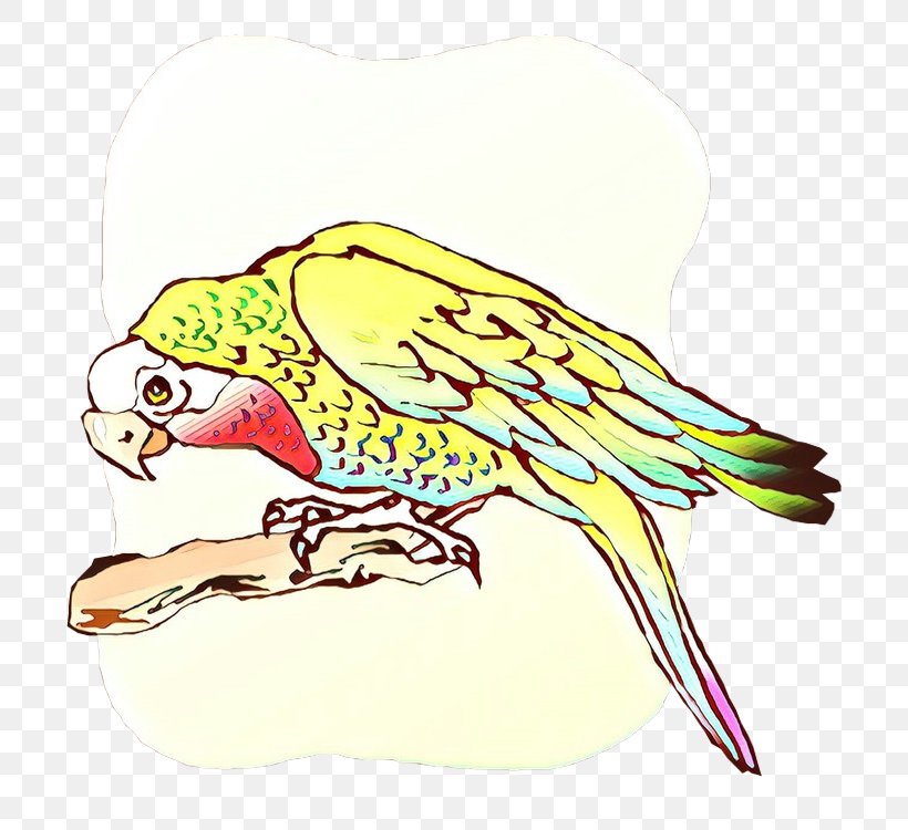 Macaw Clip Art Parakeet Illustration Beak, PNG, 719x750px, Macaw, Bald Eagle, Beak, Bird, Budgie Download Free