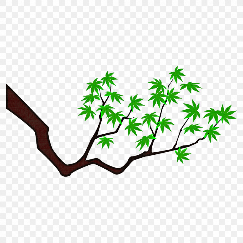 Maple Branch Maple Leaves Maple Tree, PNG, 1200x1200px, Maple Branch, Branch, Green, Leaf, Maple Leaves Download Free