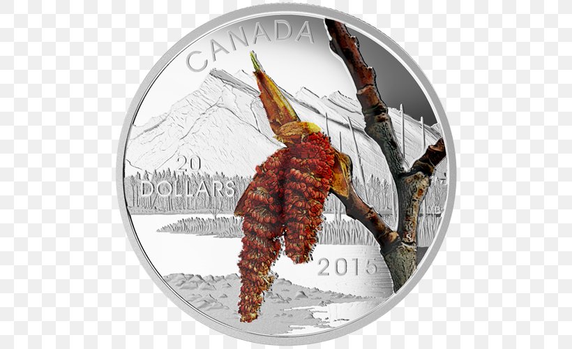 Canada Silver Coin Gold, PNG, 500x500px, Canada, Animal Source Foods, Balsam Poplar, Canadian Gold Maple Leaf, Coin Download Free