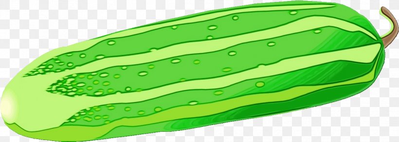 Educational Background, PNG, 1239x442px, Vegetable, Cucumber, Educational Flash Cards, Fruit, Green Download Free
