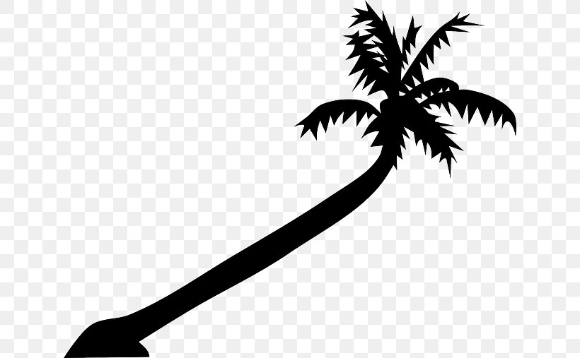 Arecaceae Tree Clip Art, PNG, 640x507px, Arecaceae, Arecales, Black And White, Branch, Drawing Download Free