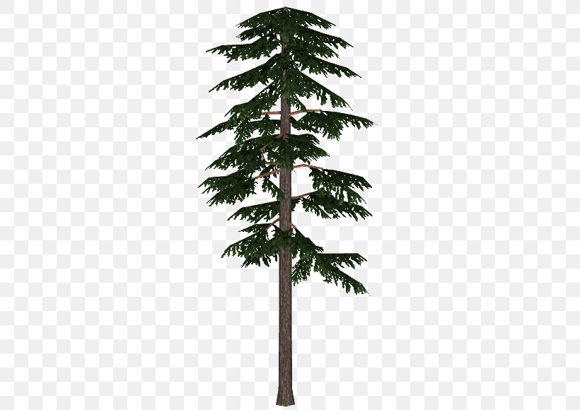 Boreal Forest Of Canada Fir Spruce Scots Pine Pinus Contorta, PNG, 580x580px, Boreal Forest Of Canada, Arecales, Borassus Flabellifer, Branch, Christmas Ornament Download Free