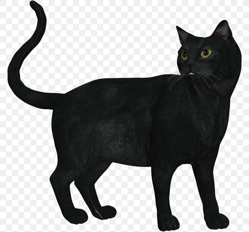 Burmese Cat Bombay Cat Korat European Shorthair Manx Cat, PNG, 774x765px, Burmese Cat, Asian, Black, Black And White, Black Cat Download Free