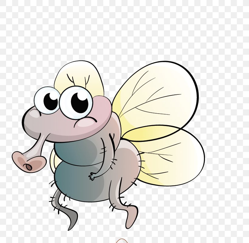 Insect Cartoon Fly Illustration, PNG, 800x800px, Watercolor, Cartoon, Flower, Frame, Heart Download Free