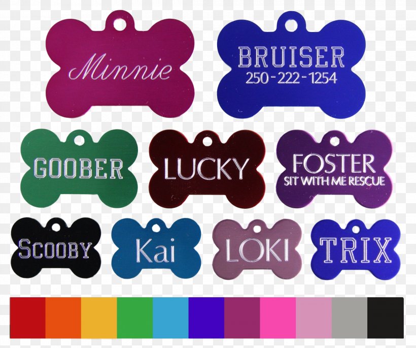 Pet Tag Chihuahua Cat Dog Tag Engraving, PNG, 2240x1872px, Pet Tag, Area, Brand, Cat, Chihuahua Download Free