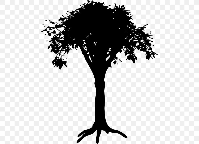 Root Tree Clip Art, PNG, 480x594px, Root, Arecaceae, Black And White, Branch, Drawing Download Free