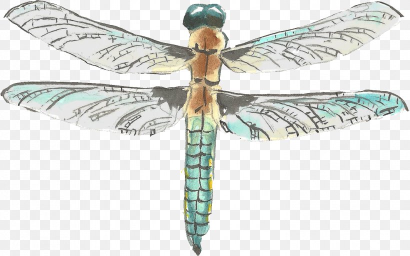 Watercolor Painting Drawing, PNG, 1474x922px, Watercolor Painting, Cartoon, Dragonflies And Damseflies, Dragonfly, Drawing Download Free