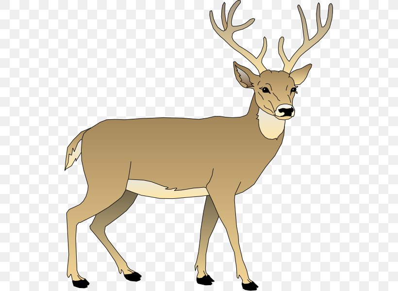 White-tailed Deer Elk Reindeer Clip Art, PNG, 553x600px, Deer, Animal Figure, Antler, Blog, Cartoon Download Free
