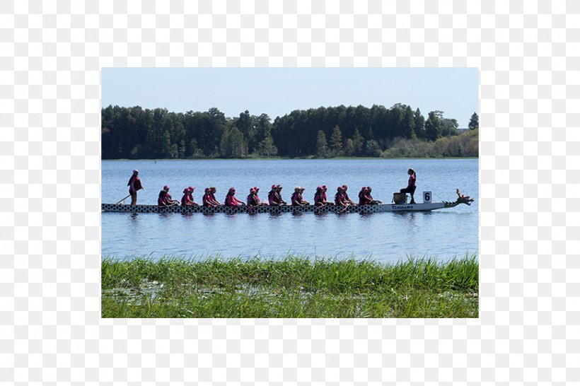 Rowing Canoe Water Resources Boat Leisure, PNG, 870x580px, Rowing, Bayou, Boat, Boating, Canoe Download Free