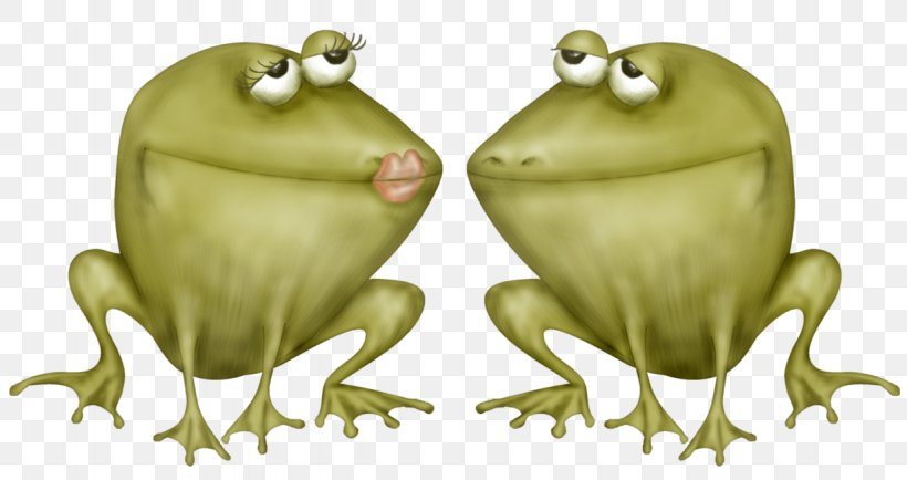 Toad True Frog Tree Frog, PNG, 1228x651px, Toad, Amphibian, Animated Cartoon, Fauna, Frog Download Free