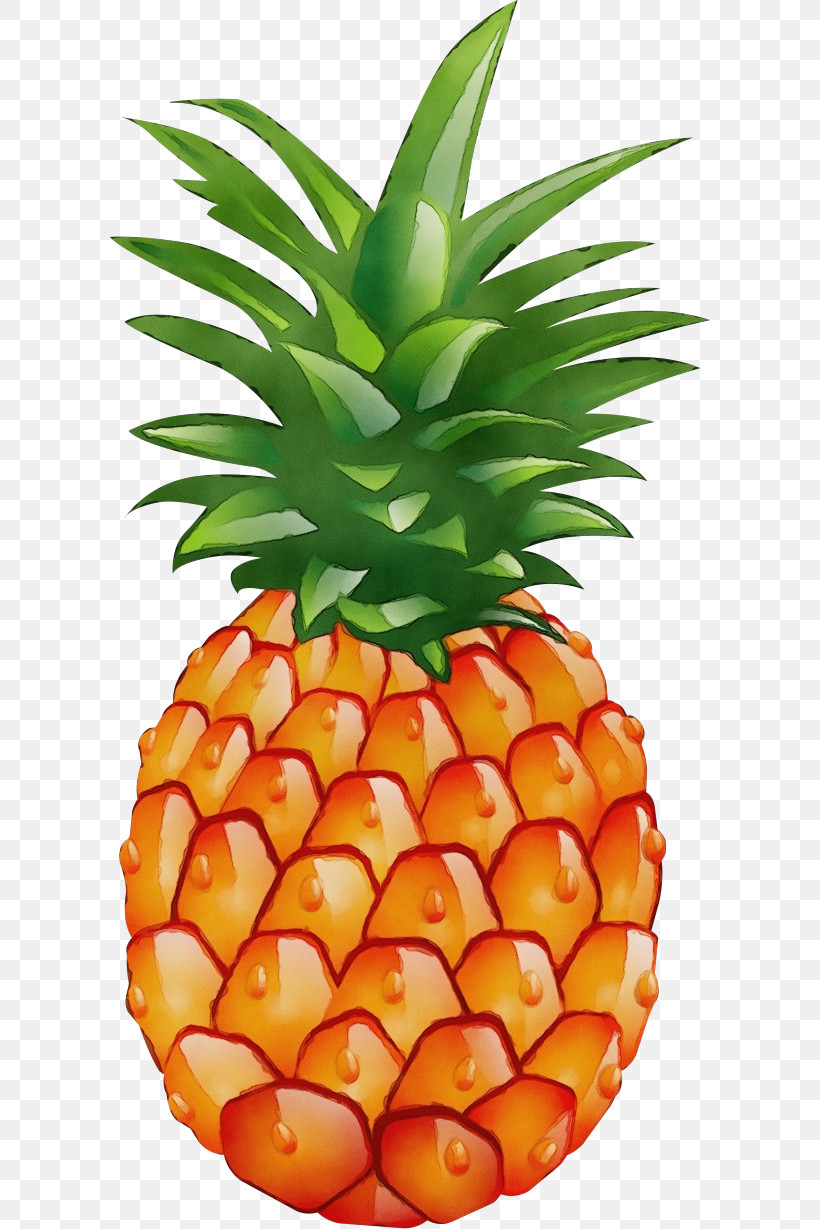 Pineapple, PNG, 600x1229px, Watercolor, Drawing, Dried Fruit, Fruit, Juice Download Free