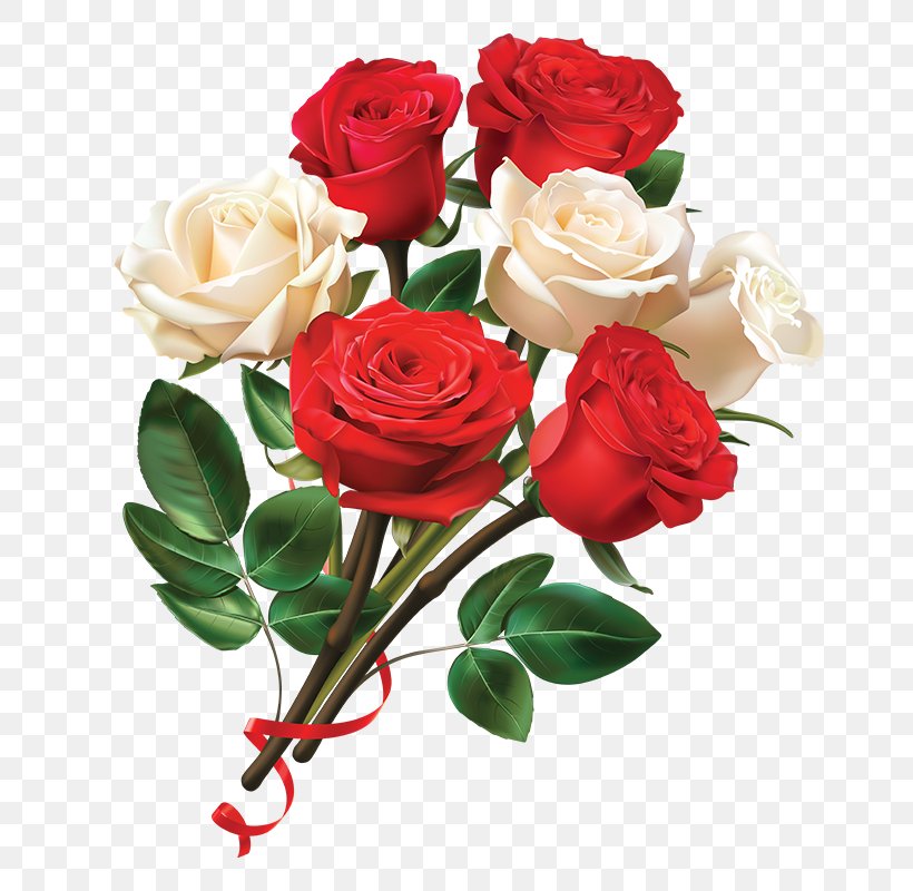 Garden Roses Paper Red Centifolia Roses Valentines Day, PNG, 800x800px, Garden Roses, Artificial Flower, Centifolia Roses, Cut Flowers, Floral Design Download Free