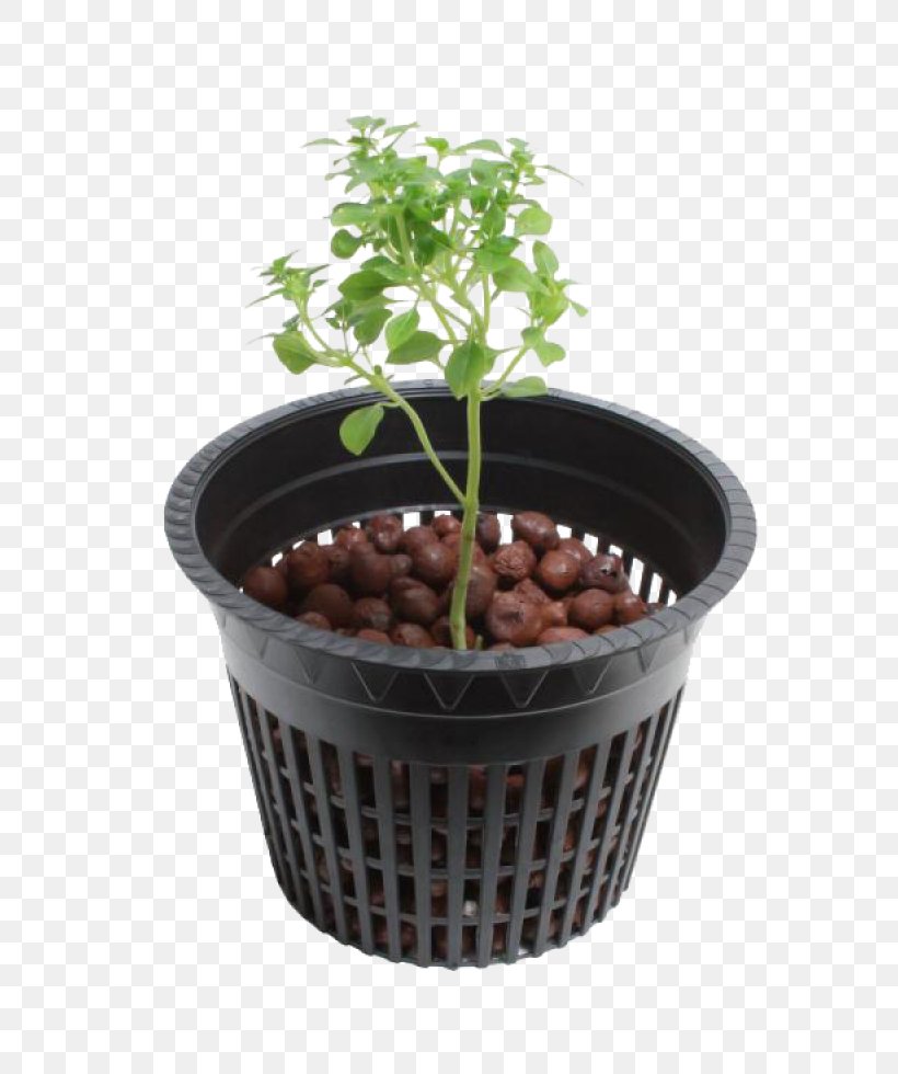 Hydroponics Flowerpot Nursery Transplanting Deep Water Culture, PNG, 800x980px, Hydroponics, Aquaponics, Deep Water Culture, Flowerpot, Garden Download Free