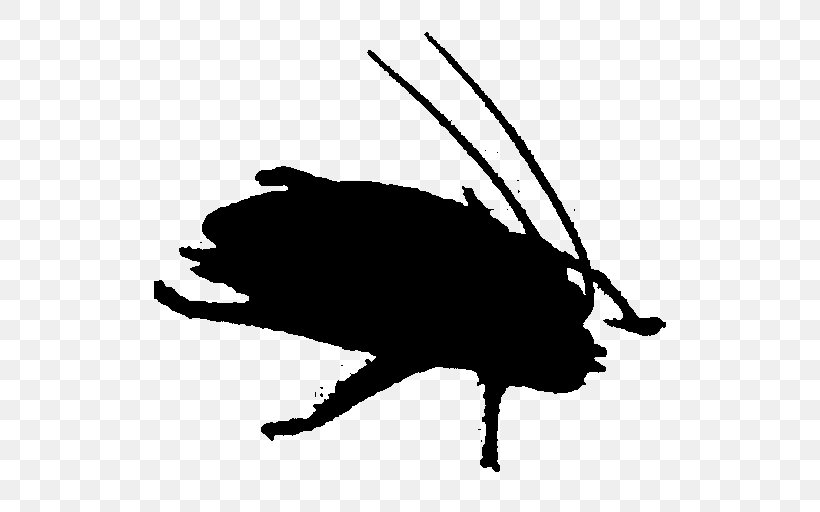 Clip Art Fauna Carnivores Silhouette Pest, PNG, 512x512px, Fauna, Boar, Carnivores, Insect, Membrane Download Free