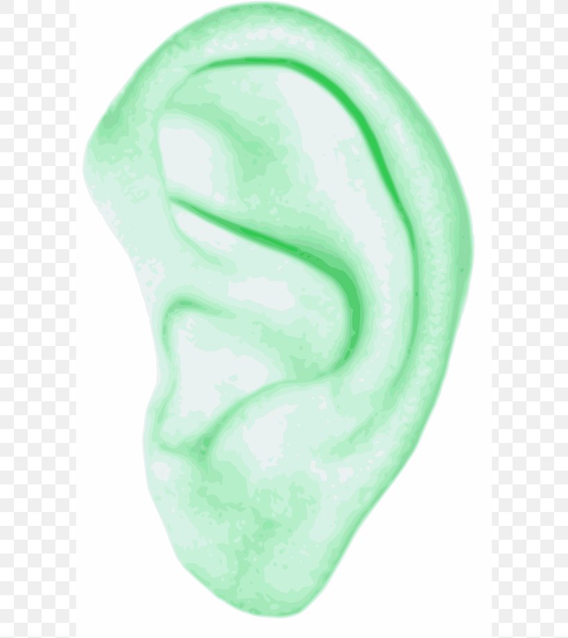 Ear Human Body Clip Art, PNG, 600x922px, Ear, Anatomy, Art, Green, Hearing Download Free