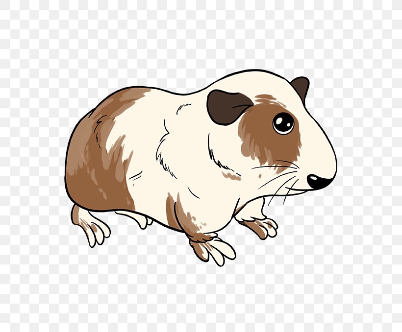 Pig Cartoon, PNG, 680x678px, Guinea Pig, Animal, Cartoon, Cuteness, Drawing Download Free