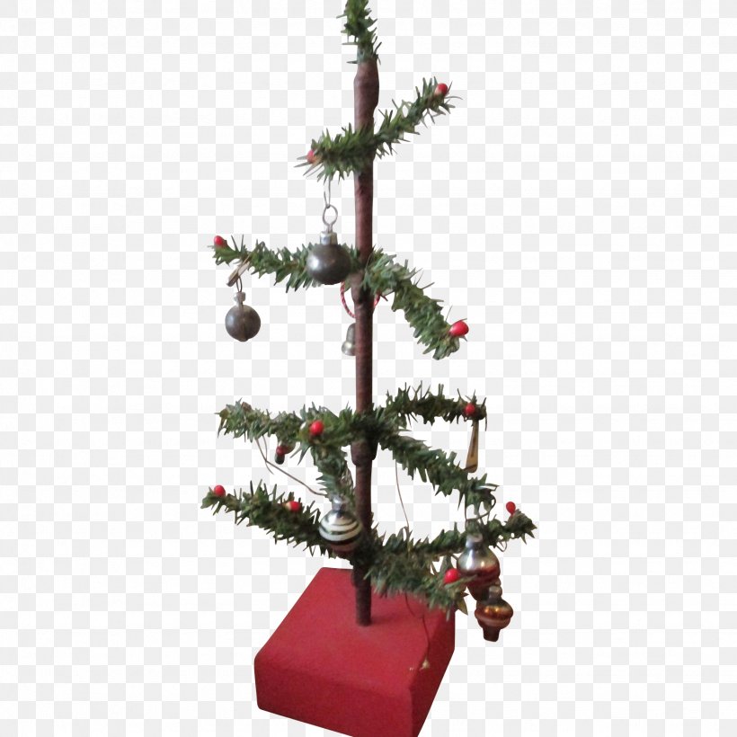 Pine Spruce Fir Christmas Decoration Christmas Tree, PNG, 1536x1536px, Pine, Bonsai, Christmas, Christmas Decoration, Christmas Ornament Download Free