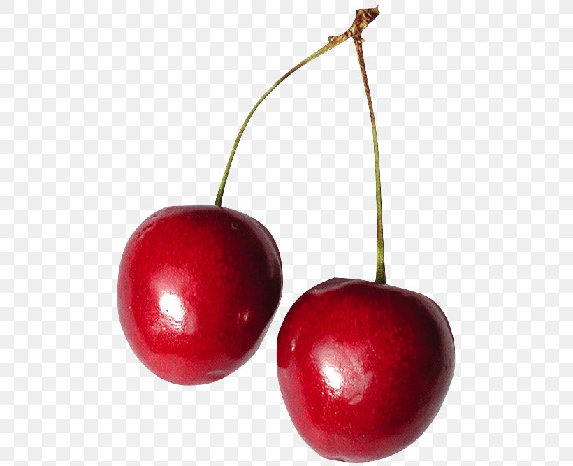 Barbados Cherry Clip Art Kompot, PNG, 496x667px, Cherry, Barbados Cherry, Food, Fruit, Kompot Download Free