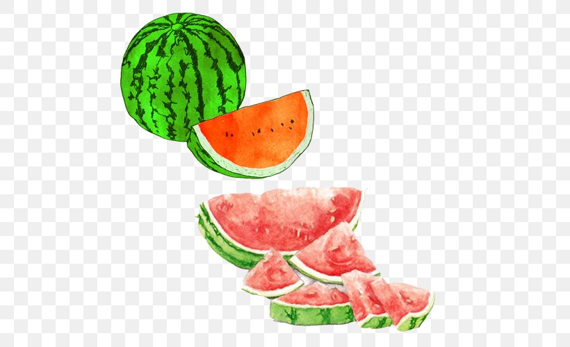 Watermelon Watercolor Painting Drawing Seedless Fruit Illustration, PNG, 500x500px, Watermelon, Art, Art Museum, Citrullus, Colored Pencil Download Free