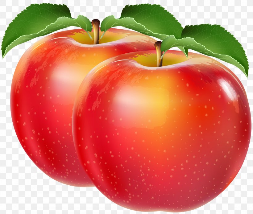 Apple, PNG, 1682x1425px, Apple, Accessory Fruit, Auglis, Diet Food, Food Download Free