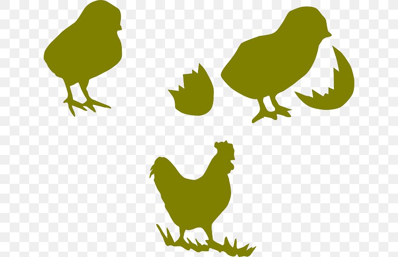 Chicken Bird Kifaranga Rooster Poultry, PNG, 640x531px, Chicken, Bantam, Beak, Bird, Branch Download Free