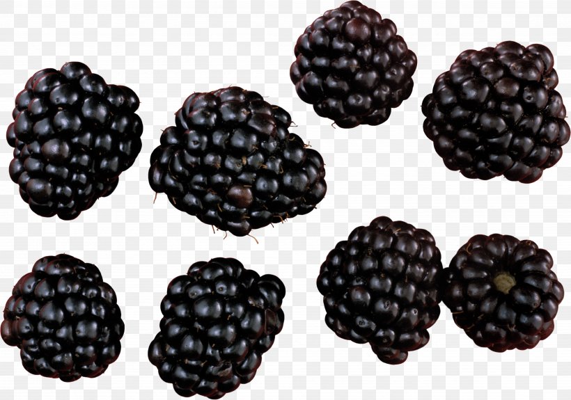 Blackberry, PNG, 4872x3417px, Blackberry, Berry, Boysenberry, Food, Fruit Download Free