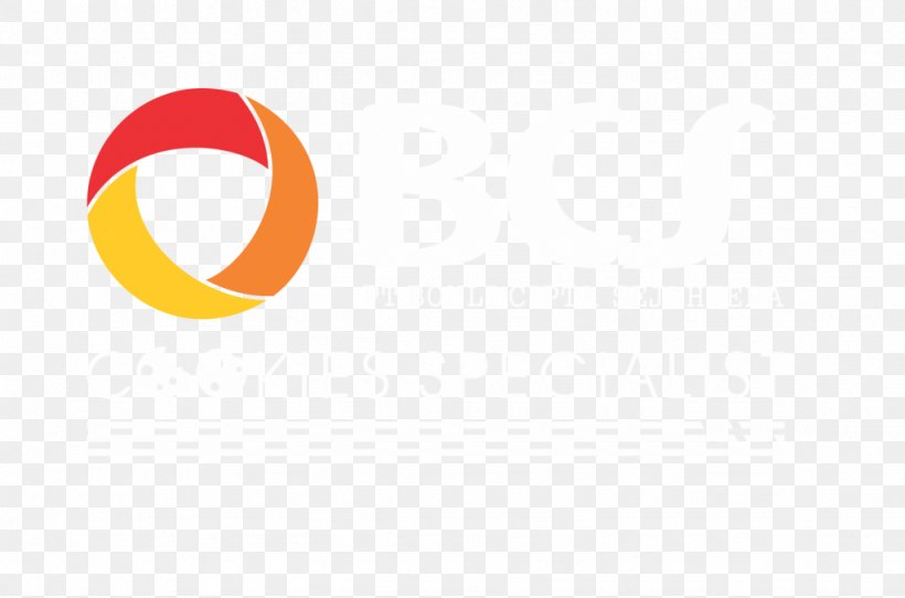 Logo Brand Product Design Desktop Wallpaper, PNG, 1024x677px, Logo, Brand, Computer, Orange, Text Download Free
