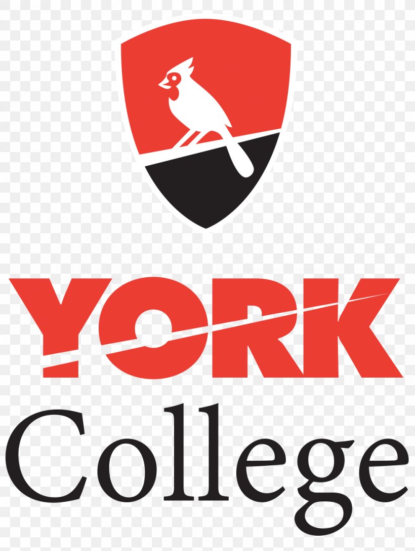 York College, City University Of New York City College Of New York Brooklyn College Borough Of Manhattan Community College, PNG, 980x1300px, City University Of New York, Area, Artwork, Brand, Brooklyn College Download Free